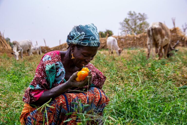 Lancement d’un programme d’appui aux femmes rurales