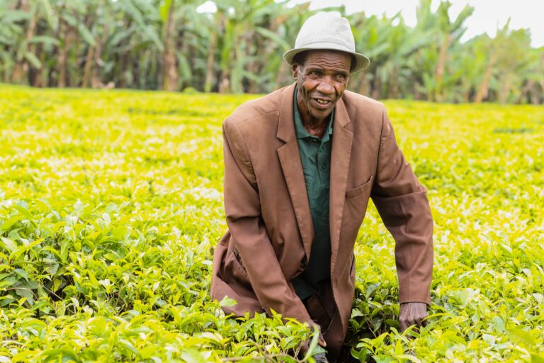 Promotion de l’agriculture durable